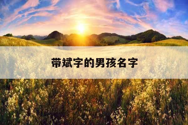 带斌字的男孩名字