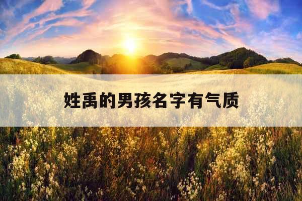 姓禹的男孩名字有气质