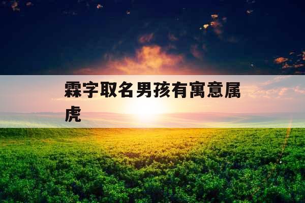 霖字取名男孩有寓意属虎