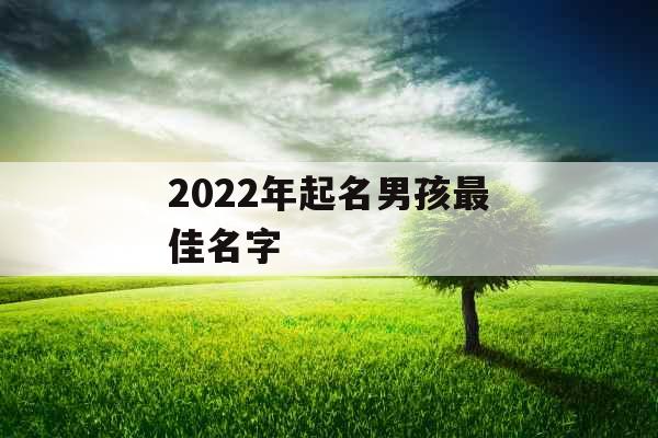 2022年起名男孩最佳名字