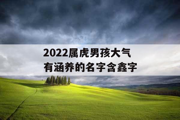2022属虎男孩大气有涵养的名字含鑫字