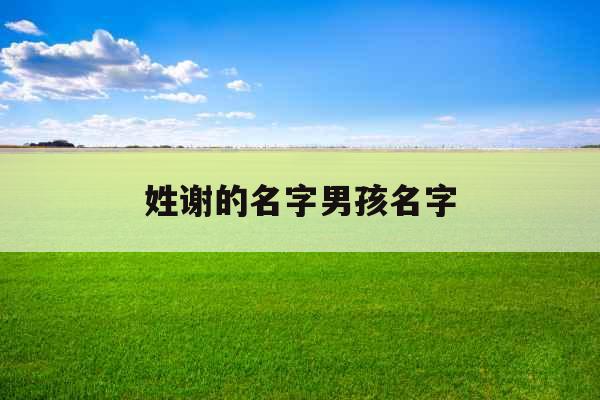 姓谢的名字男孩名字