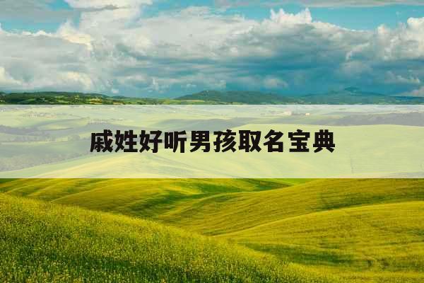 戚姓好听男孩取名宝典