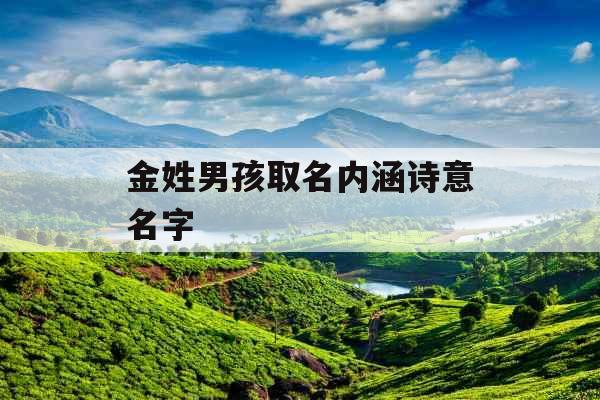 金姓男孩取名内涵诗意名字