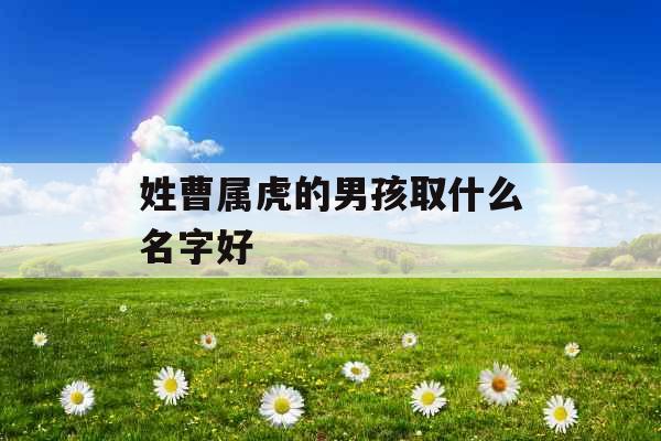 姓曹属虎的男孩取什么名字好