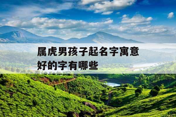 属虎男孩子起名字寓意好的字有哪些