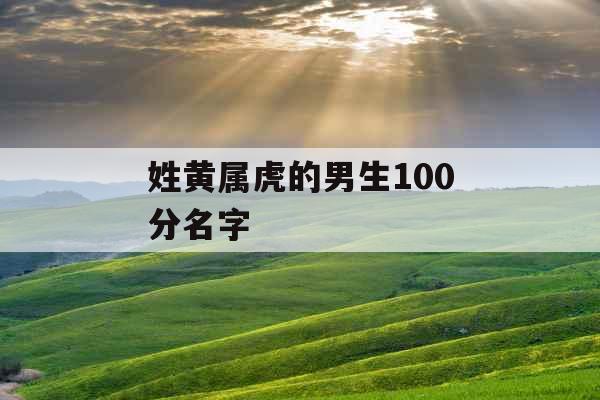 姓黄属虎的男生100分名字