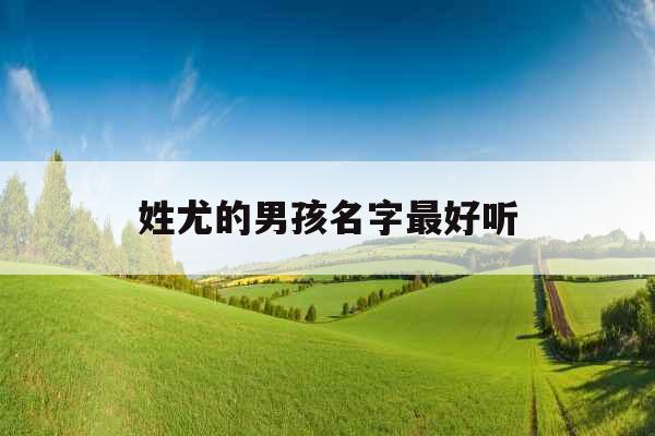 姓尤的男孩名字最好听