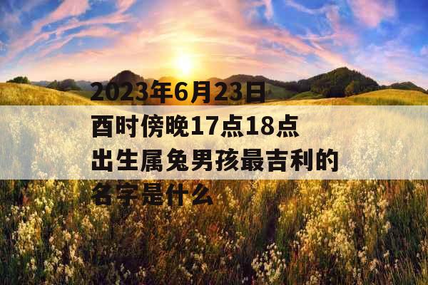 2023年6月23日酉时傍晚17点18点出生属兔男孩最吉利的名字是什么