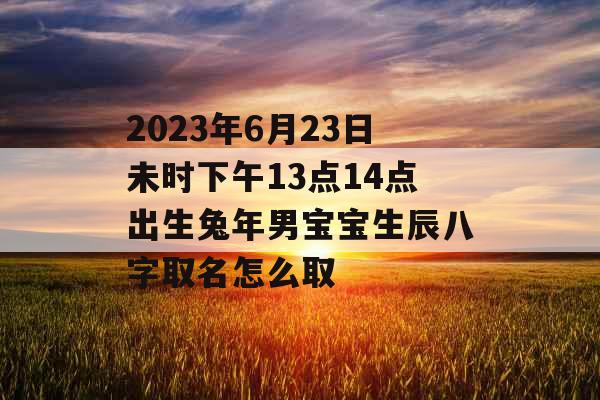 2023年6月23日未时下午13点14点出生兔年男宝宝生辰八字取名怎么取
