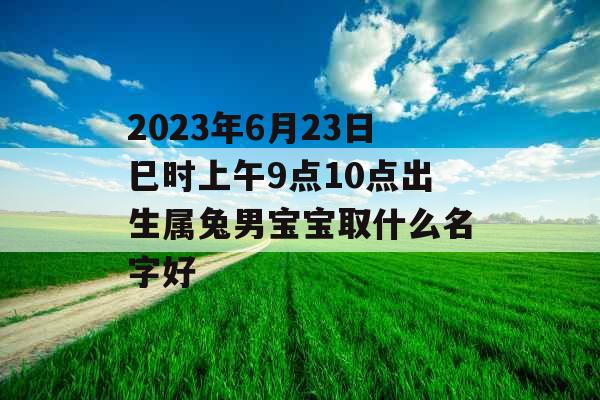 2023年6月23日巳时上午9点10点出生属兔男宝宝取什么名字好