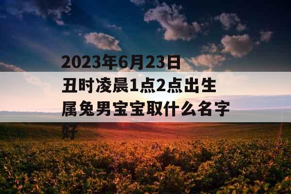 2023年6月23日丑时凌晨1点2点出生属兔男宝宝取什么名字好
