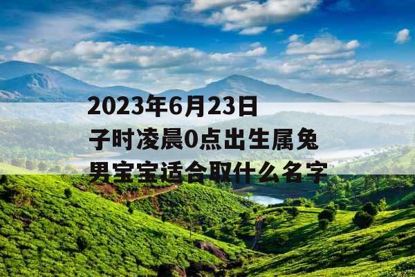 2023年6月23日子时凌晨0点出生属兔男宝宝适合取什么名字