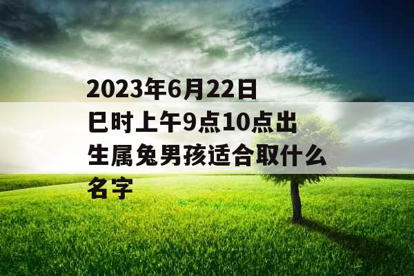 2023年6月22日巳时上午9点10点出生属兔男孩适合取什么名字
