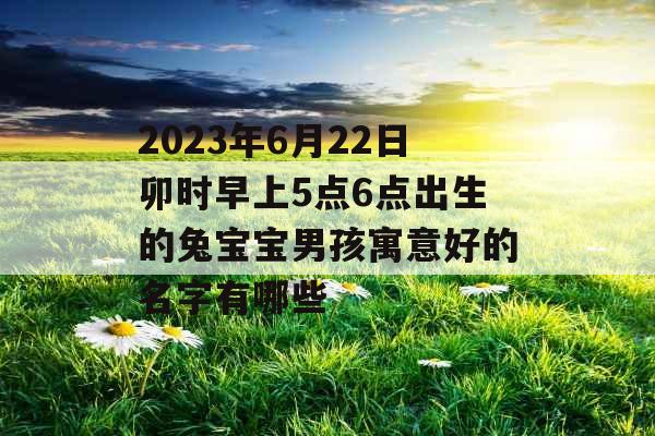 2023年6月22日卯时早上5点6点出生的兔宝宝男孩寓意好的名字有哪些