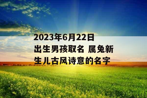 2023年6月22日出生男孩取名 属兔新生儿古风诗意的名字