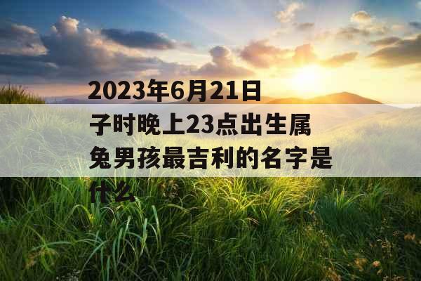 2023年6月21日子时晚上23点出生属兔男孩最吉利的名字是什么