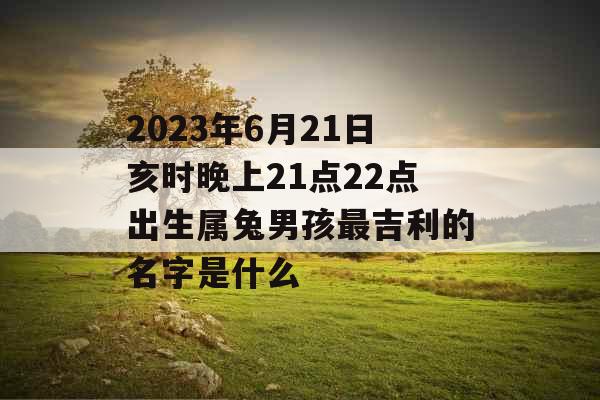 2023年6月21日亥时晚上21点22点出生属兔男孩最吉利的名字是什么