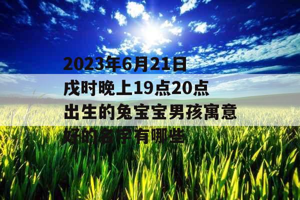 2023年6月21日戌时晚上19点20点出生的兔宝宝男孩寓意好的名字有哪些