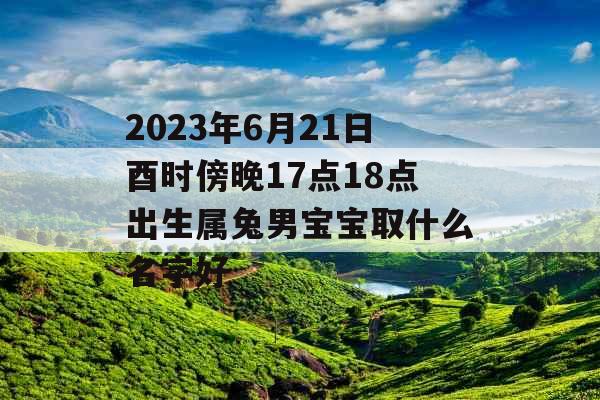 2023年6月21日酉时傍晚17点18点出生属兔男宝宝取什么名字好