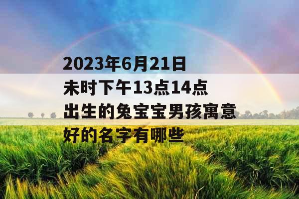 2023年6月21日未时下午13点14点出生的兔宝宝男孩寓意好的名字有哪些