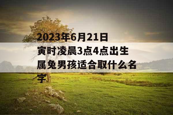 2023年6月21日寅时凌晨3点4点出生属兔男孩适合取什么名字
