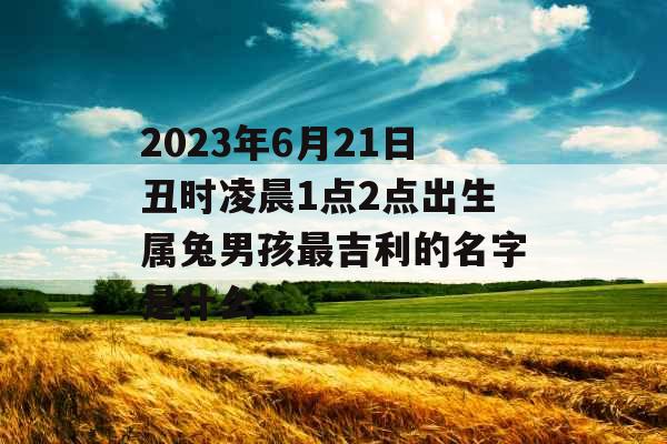 2023年6月21日丑时凌晨1点2点出生属兔男孩最吉利的名字是什么