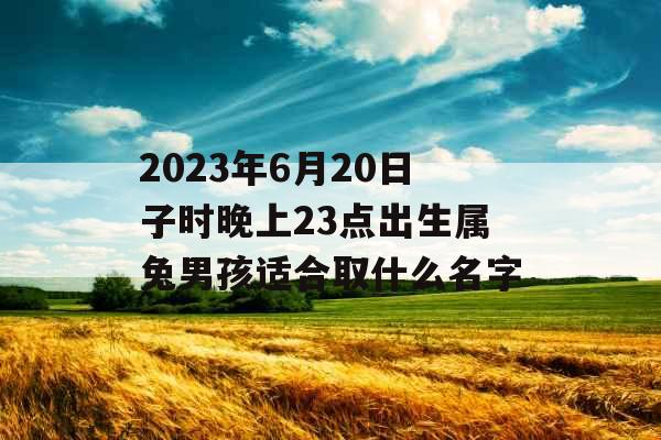 2023年6月20日子时晚上23点出生属兔男孩适合取什么名字