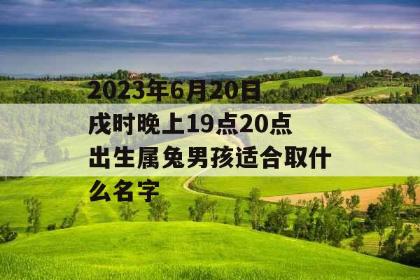 2023年6月20日戌时晚上19点20点出生属兔男孩适合取什么名字