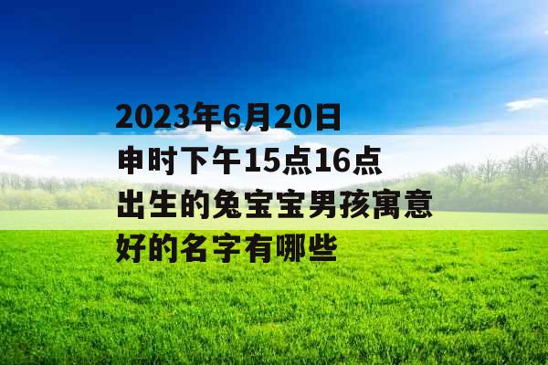 2023年6月20日申时下午15点16点出生的兔宝宝男孩寓意好的名字有哪些