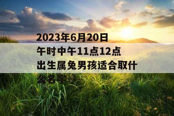 2023年6月20日午时中午11点12点出生属兔男孩适合取什么名字