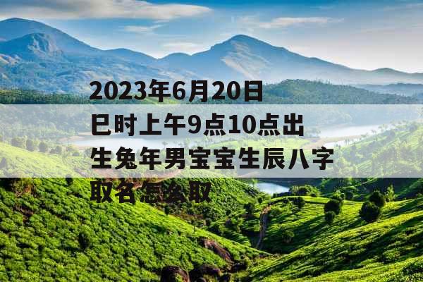 2023年6月20日巳时上午9点10点出生兔年男宝宝生辰八字取名怎么取