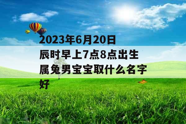 2023年6月20日辰时早上7点8点出生属兔男宝宝取什么名字好