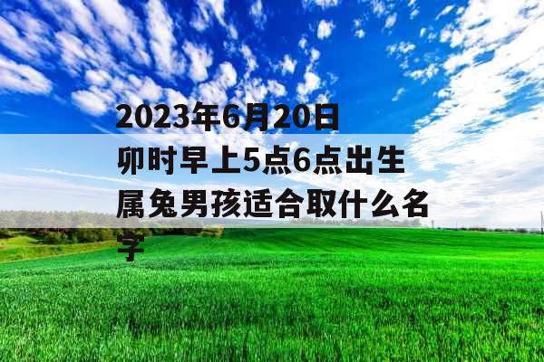 2023年6月20日卯时早上5点6点出生属兔男孩适合取什么名字