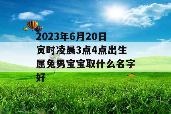 2023年6月20日寅时凌晨3点4点出生属兔男宝宝取什么名字好
