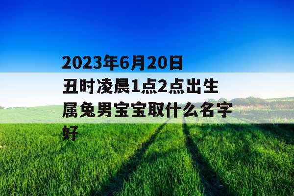 2023年6月20日丑时凌晨1点2点出生属兔男宝宝取什么名字好
