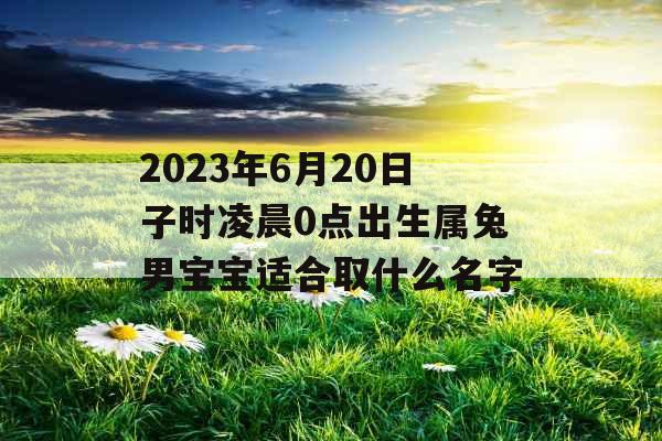 2023年6月20日子时凌晨0点出生属兔男宝宝适合取什么名字