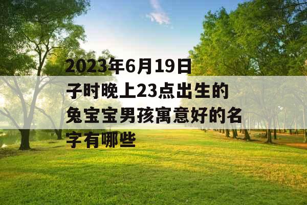 2023年6月19日子时晚上23点出生的兔宝宝男孩寓意好的名字有哪些
