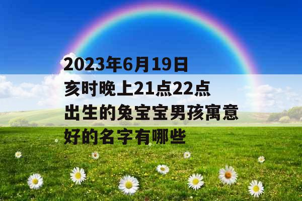 2023年6月19日亥时晚上21点22点出生的兔宝宝男孩寓意好的名字有哪些