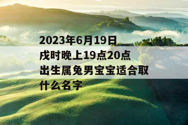 2023年6月19日戌时晚上19点20点出生属兔男宝宝适合取什么名字