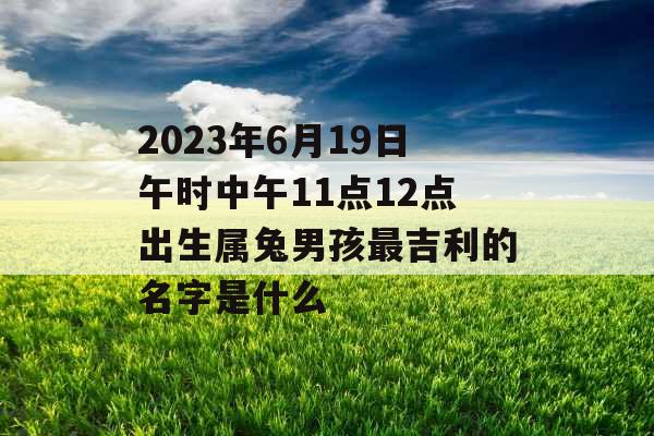 2023年6月19日午时中午11点12点出生属兔男孩最吉利的名字是什么