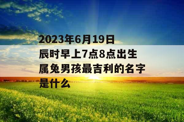 2023年6月19日辰时早上7点8点出生属兔男孩最吉利的名字是什么