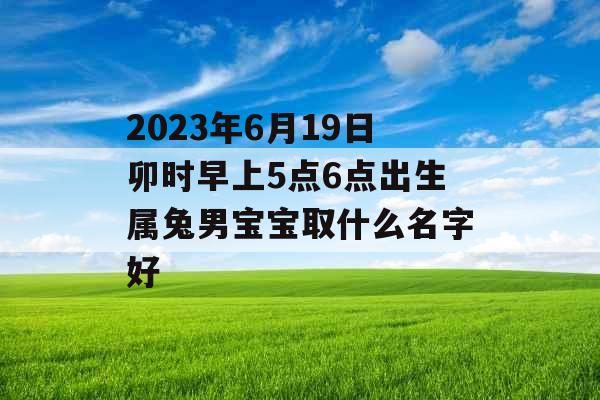 2023年6月19日卯时早上5点6点出生属兔男宝宝取什么名字好