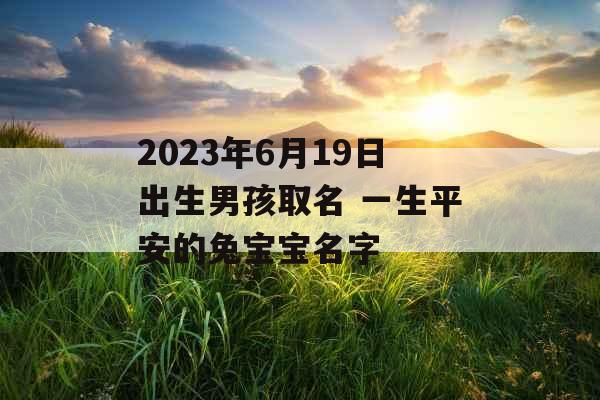 2023年6月19日出生男孩取名 一生平安的兔宝宝名字