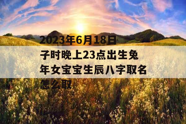 2023年6月18日子时晚上23点出生兔年女宝宝生辰八字取名怎么取