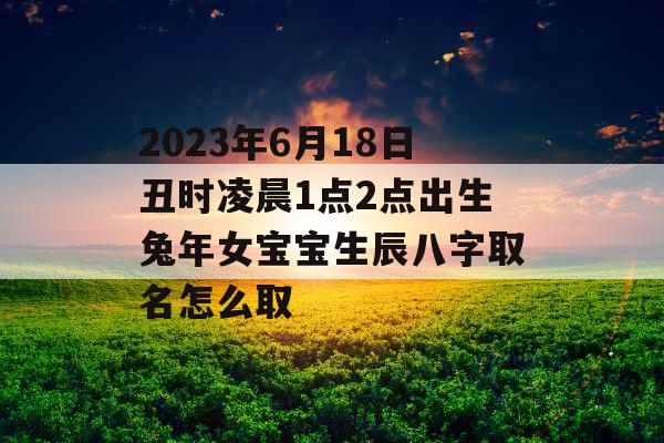 2023年6月18日丑时凌晨1点2点出生兔年女宝宝生辰八字取名怎么取