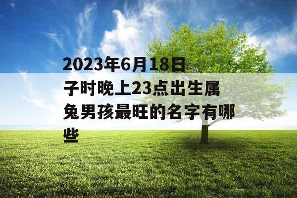 2023年6月18日子时晚上23点出生属兔男孩最旺的名字有哪些