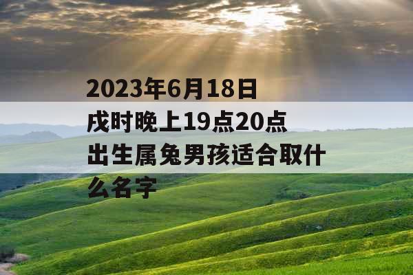 2023年6月18日戌时晚上19点20点出生属兔男孩适合取什么名字