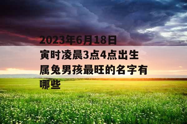 2023年6月18日寅时凌晨3点4点出生属兔男孩最旺的名字有哪些