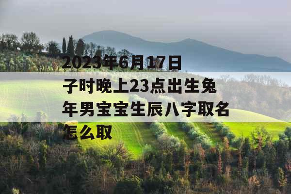 2023年6月17日子时晚上23点出生兔年男宝宝生辰八字取名怎么取